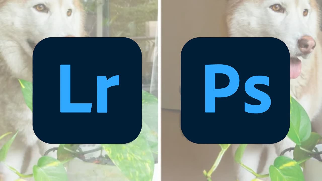 adobe lr and ps